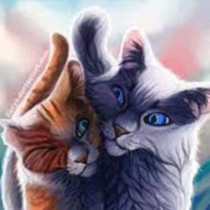 Meet your Posher, Maya